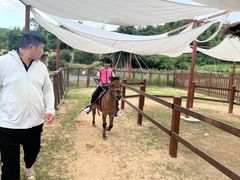 -杭州开元森泊度假乐园