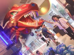 -乐高品牌旗舰店(人民广场店)