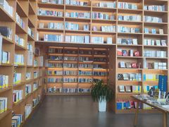 -朵云书院(滴水湖店)