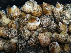 -九號渔港·蒸汽海鲜·粤菜茶点(八卦岭店)