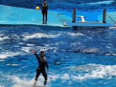 -海合安成都极地海洋公园