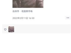 -花园菜市场