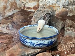 -昆明动物园