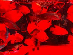 -三旗百汇商品城