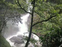 -石台牯牛降景区