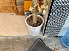 -Radar Coffee(思南路店)