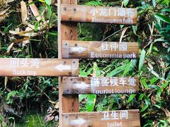-白云源风景区