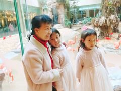 -白虎自助餐厅·真老虎·景观自助餐厅(广州长隆酒店)