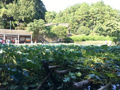 -韶山毛泽东同志故居