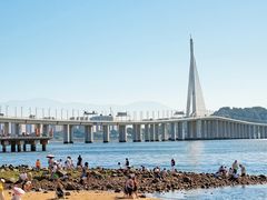 -深圳湾公园(南山区)