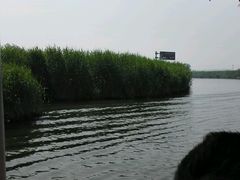 -白洋淀景区