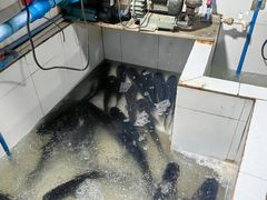 -笑红饭庄