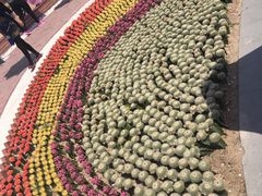 -武清南湖绿博园