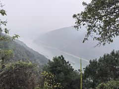 -铁山坪森林公园