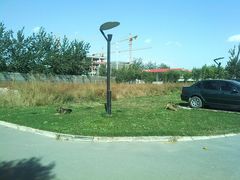 android_upload_pic-中地华冠羽毛球俱乐部