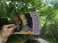 -牛背梁国家森林公园