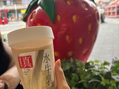 -树夏(金楠天街店)