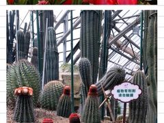 -南山植物园
