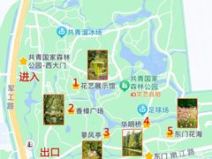 -上海共青森林公园