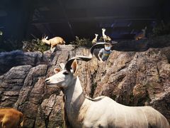 -陕西自然博物馆