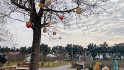 -DORA kids 朵拉儿童摄影花园店