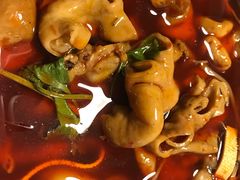 干锅肥肠-马头巷·食景园(苏州总店)