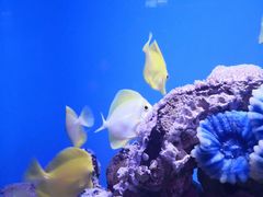 -北海海底世界