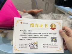 -福懋动物医院·犬猫全科·外科·重症科(杏林分院)