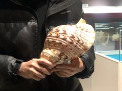 -青岛贝壳博物馆