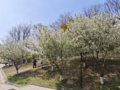 -南山风景名胜区