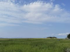 -花岙岛