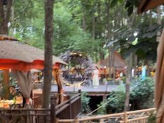 -二荆条·蜀鲜汇城市森林火锅