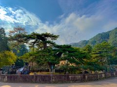 -九华山风景区