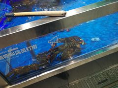 水产区-盒马鲜生(财富中心店)