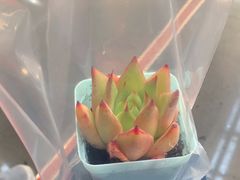 -墨纪Mojí墨西哥餐厅(南开大悦城店)