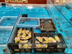 -艳阳天·非遗楚菜(武汉客厅店)