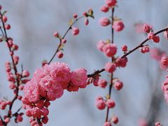 -三里河公园