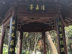 -嘉定紫藤园
