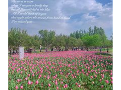 -北京国际鲜花港