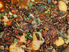 -黑竹香鸡(营和巷店)