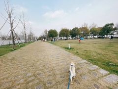 -栖露营camping·天幕烧烤·团建拓展·采摘营地