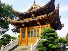 -上海东林寺(金山区)