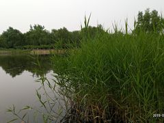 -永定河休闲森林公园