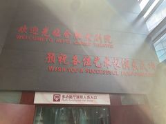 -合肥大剧院