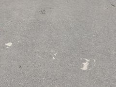 -索拉古贝(义乌北苑店)
