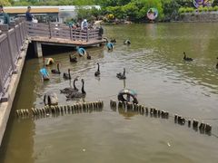 -无锡动物园·太湖欢乐园
