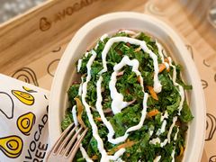-油梨树AVOCADO TREE(嘉里中心店)