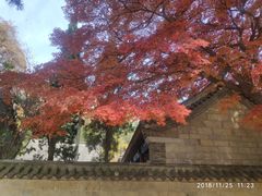 -青岛崂山太清宫