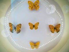 -下渚湖国家湿地公园科普馆