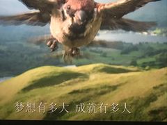-CGV影城(黄河道ScreenX店)